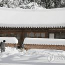 강진-38 이미지