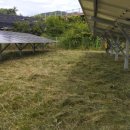 무성햇빛발전소 이미지