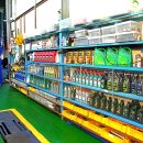 달려라 차차차 이미지