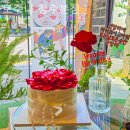 홈플러스 청주성안점 | 영동 맛집 리얼후기, 가토주니 청주본점 부모님모시고 자주가는 곳