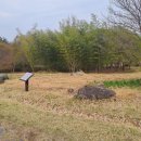 관산리1호 이미지