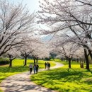 초당가는길 펜션 이미지