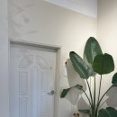 화연당 | 창원 가로수길 화연제과 카페 베이커리 맛집 방문 후기