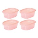 타파웨어 이미지