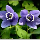 광주도자기엑스포장 이미지