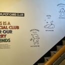 하울팟 케어클럽(분당서현점) 이미지