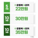 압구정-113 | 초보자도 이용하기 편한 압구정역 헬스장 스포애니
