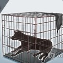 이병우농장 이미지