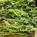 한얼농장 이미지