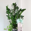 대박기원농장 이미지