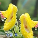 에이스환경 - 강서구 화곡로35길 23-48 | 에이스환경