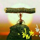 또봐유 - 천안시 서북구 | 또봐유