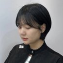 도도헤어보그 | [보그헤어 합정점 지안디자이너] 도도함 한 스푼 , 숏단발 🖤