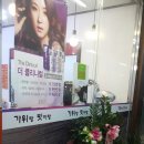 보경헤어샵 Daum카페