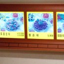 토종순대국밥 Daum카페
