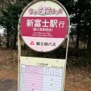 시바자쿠라 마츠리 후기, 후지산 아래 분홍꽃 절경 직접 보고 온 리얼 후기 (2026 최신)