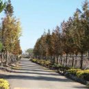 쭉돌농장 이미지