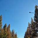 스테이 피크닉 | 전주 독채풀빌라 스테이피크닉 후기