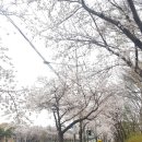 이주희연평도게장