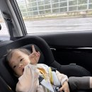 여행 - &lt;1일차&gt; : 티웨이 항공, 국민은행 환전, 오달렌트카, Kinmatsu 스테이크, 레쿠 호텔, 이온몰 차탄점