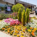 바다향기 이미지