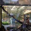 서부로1541번길 | 지혜의바다 근처 수족관 카페, 사진보다 마음에 남은 것들