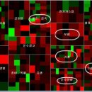 배명전자 이미지