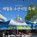 광주 매월동 수산시장 축제 꽃게&amp;갑오징어 야장 포차 후기