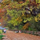 수도산 자연휴양림 이미지