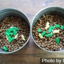 와일드캉갈 이미지