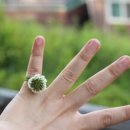 이화목장 이미지