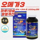 에버그린 이미지