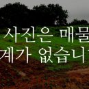 이매목장 이미지