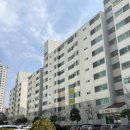 [수지 동천동 임장] 3. 행림마을 진로 아파트