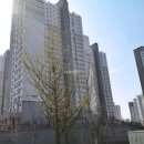 스위트 9-2 이미지