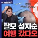 튀르키예로 가면 모발이식이 반값? 풀패키지로 원정가는 천만 탈모인들 이미지