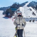 엘리트 한우 | 홍진경 딸 라엘, 日 스키 대회 참가 논란 뒤에서 드러난 엘리트 행보