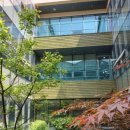 초록요양원 이미지