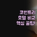 동화크리닝 | 코번트리 호텔 추천 | 인디고 힐튼 쿰브 애비 | 실제 후기 비교 완벽 정리 | 영국 여행 숙소 꿀팁