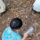 민들레숲협동조합 이미지