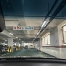 팔달공영주차장 | 수원 행궁동 근처 공용주차장 추천｜1시간 무료 주차, 교동공영주차장 솔직 후기