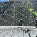 정우면사무소 이미지