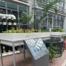 밀둠벙 | 국립농업박물관 어린이박물관, 식물원, 곤충관 아이와 가볼만한곳 추천