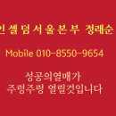 인셀덤 꿈