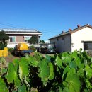 신효동-6 이미지