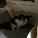 황금마늘보쌈 | 울산 삼산동 점심특선 맛집 황금마늘보쌈