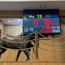 제주다반사 | 한국마사회 제주목장에서 경주마 경매 관람하고 온 후기