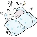 리더스동물병원 이미지