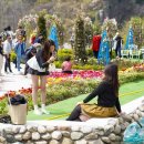 진흥꽃화원 이미지