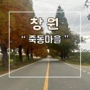죽동마을 | 창원 죽동마을 메타세콰이어길 나들이 후기